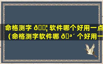 命格测字 🐦 软件哪个好用一点（命格测字软件哪 🪴 个好用一点儿）